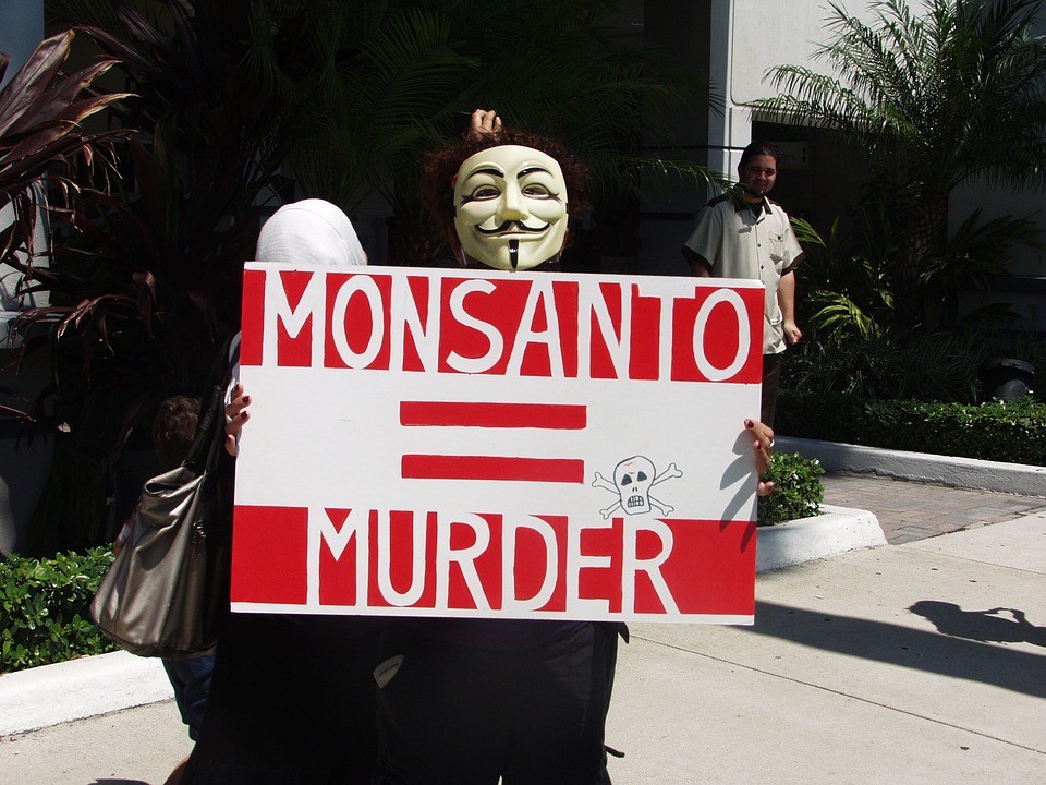 GMO Monsanto 