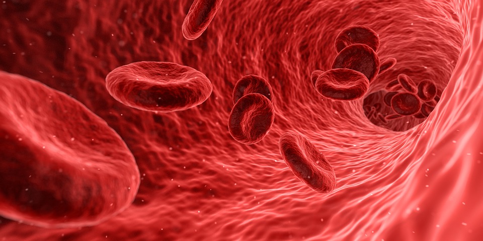 badanie żywej kropli krwi